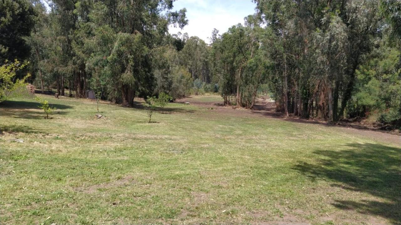 הוילה טנדיל El Bosque De Las Animas מראה חיצוני תמונה
